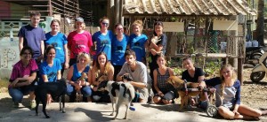 11872133_1244112312271606_4218397033209286968_o