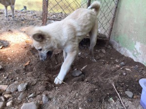 12959422_10156757822625481_1804768781_o