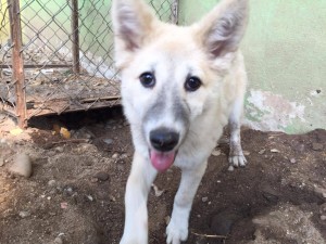 12962544_10156757822800481_327577610_o