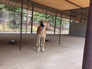 12980711_10156757823710481_2103445188_o