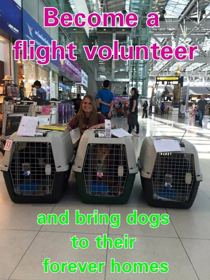 13707766_1387969747885861_7560895943761623823_n