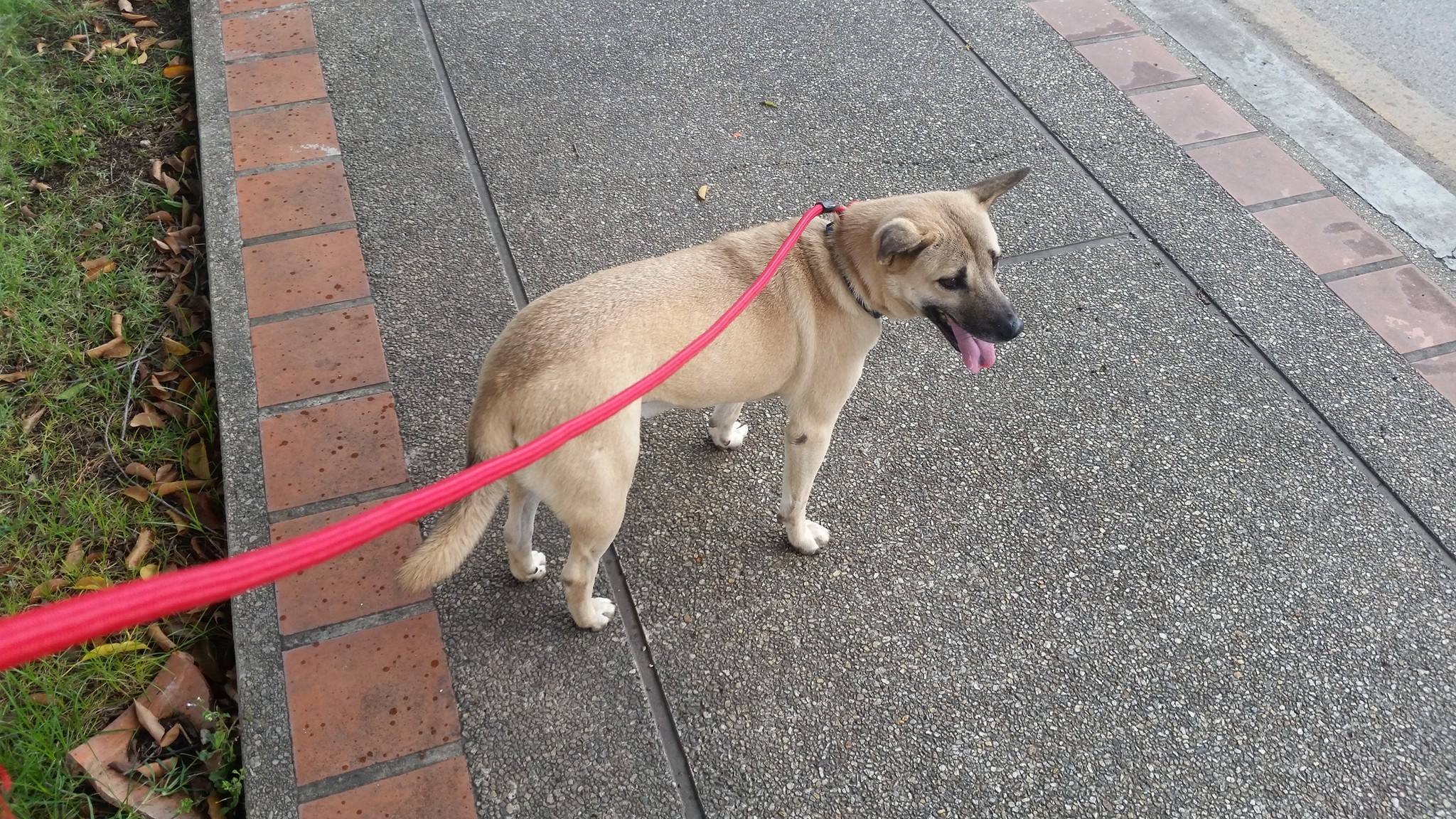 13909137_1393976640618505_2146915935162251058_o