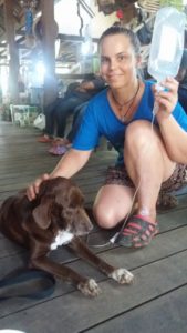 14375322_1137017783045862_1186793778_o