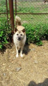 14642488_1471313479551487_2642224420093621044_n