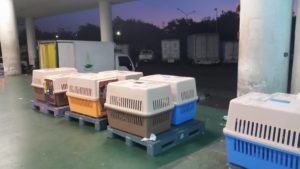 14883546_1483937381622430_8388340733622486279_o