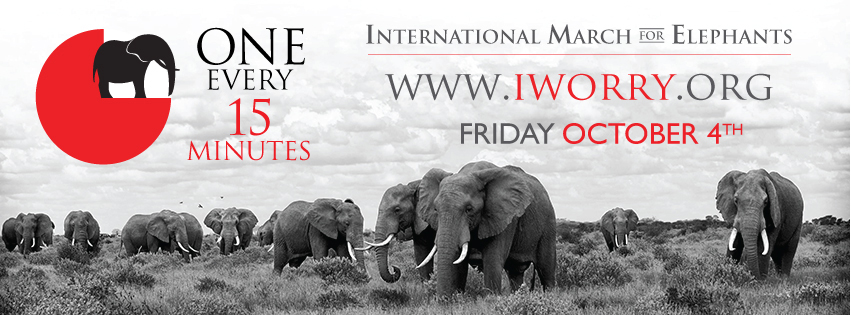Join the International March for Elephants