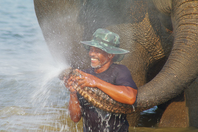 A mahout and his elephant at Surin Project