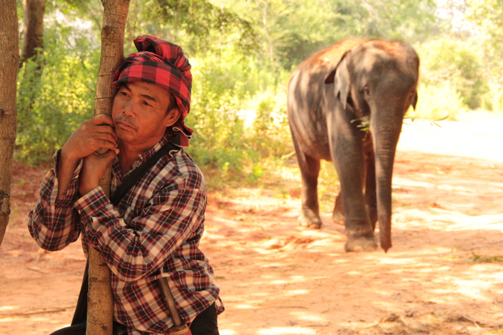 Mahout at Surin Project