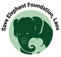 Elephant Sanctuary Laos