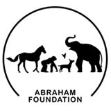 Abraham Foundation