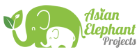 Asian_Elephant_Projects
