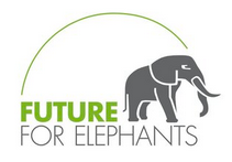 Future_for_Elephants