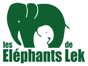 Les Elephants de Lek