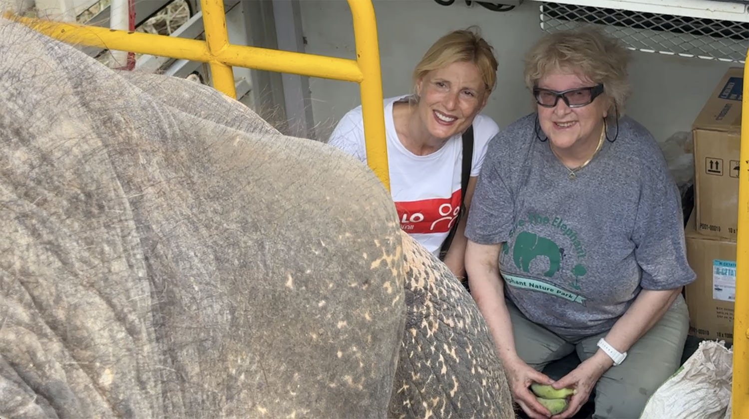 The Rescue of Apple & Mae Noi