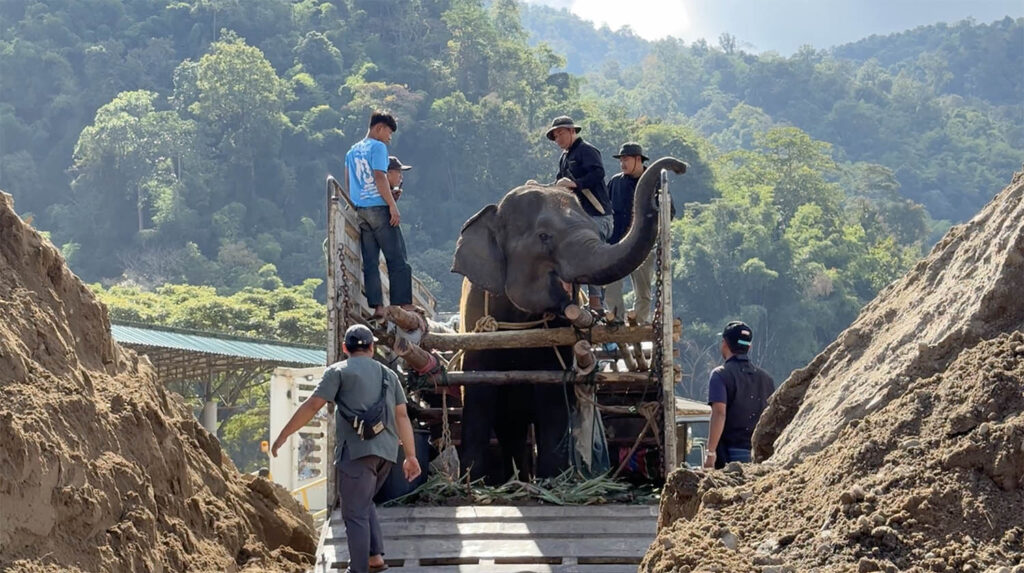 The Rescue of Apple & Mae Noi