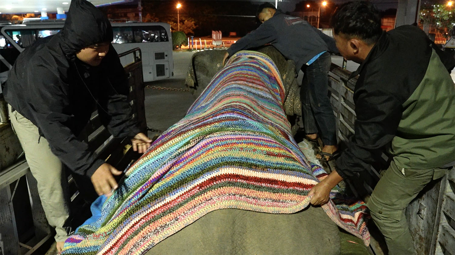 The Rescue of Apple & Mae Noi