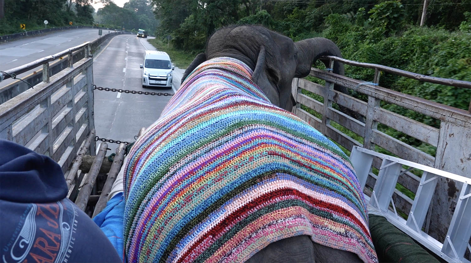 The Rescue of Apple & Mae Noi