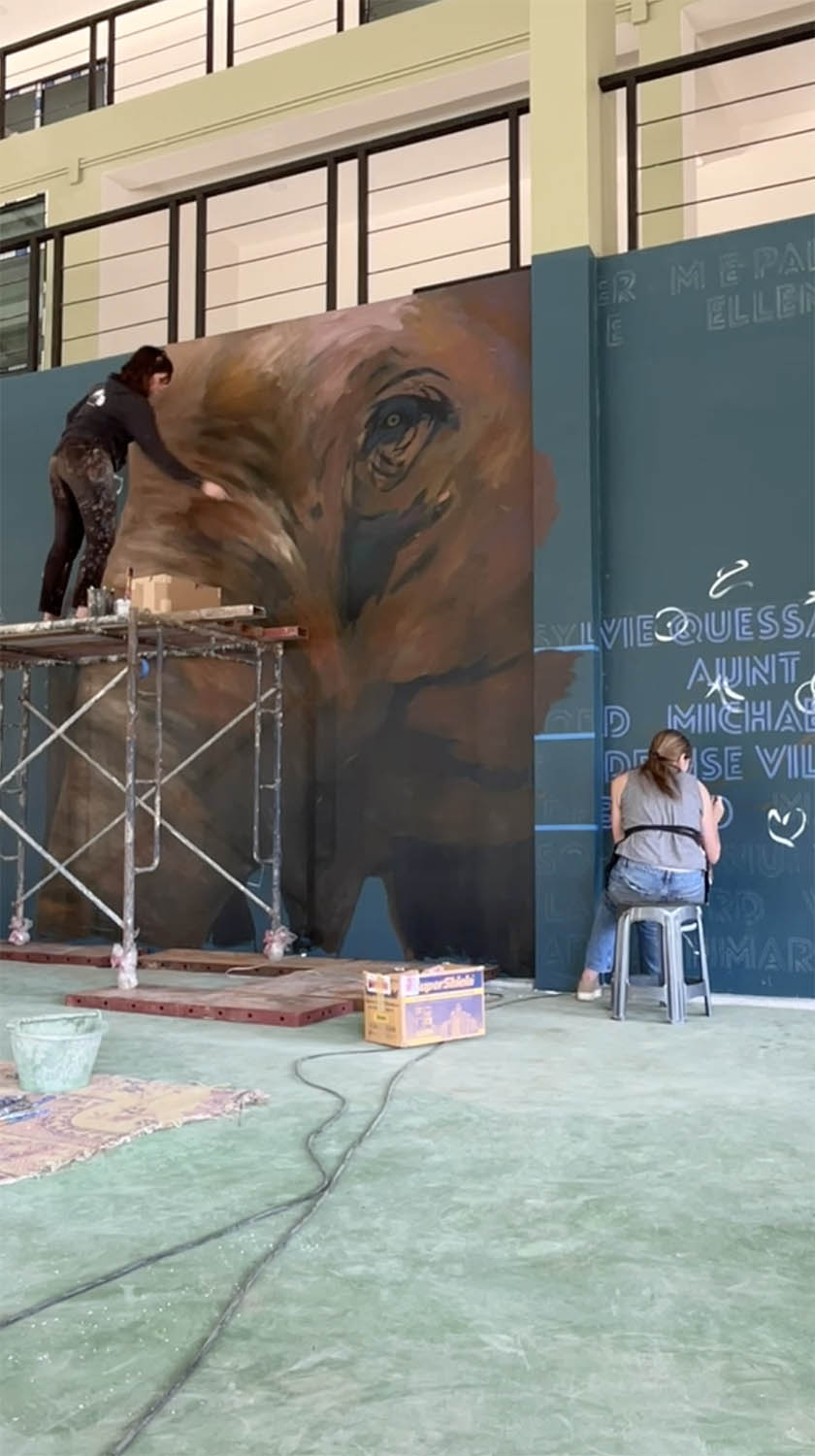 Elephant Hospital Mural