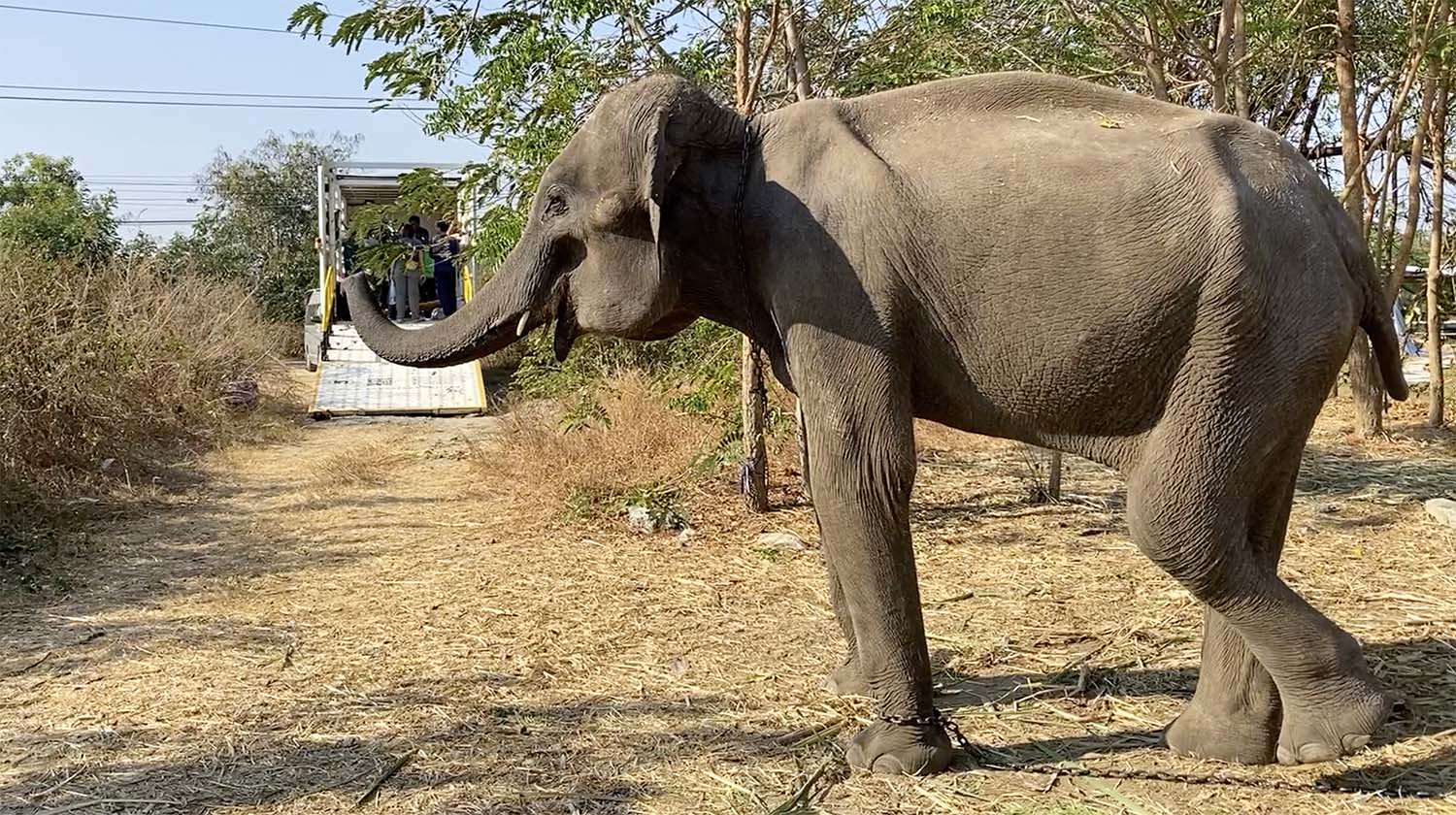 NamThip Before Rescue