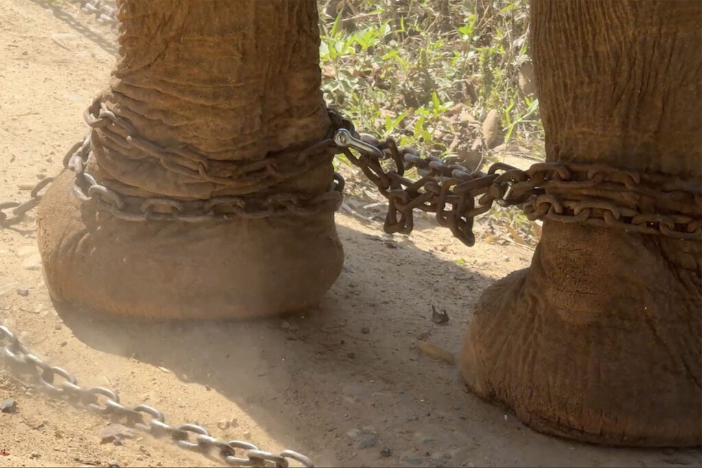 Kham Than Before Rescue