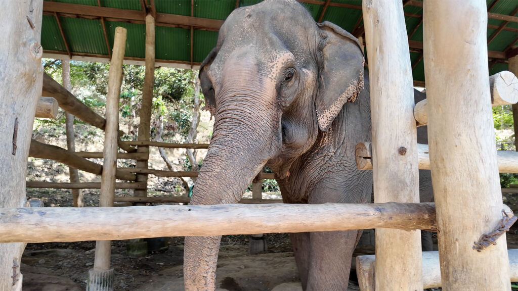 Kham Than Before Rescue