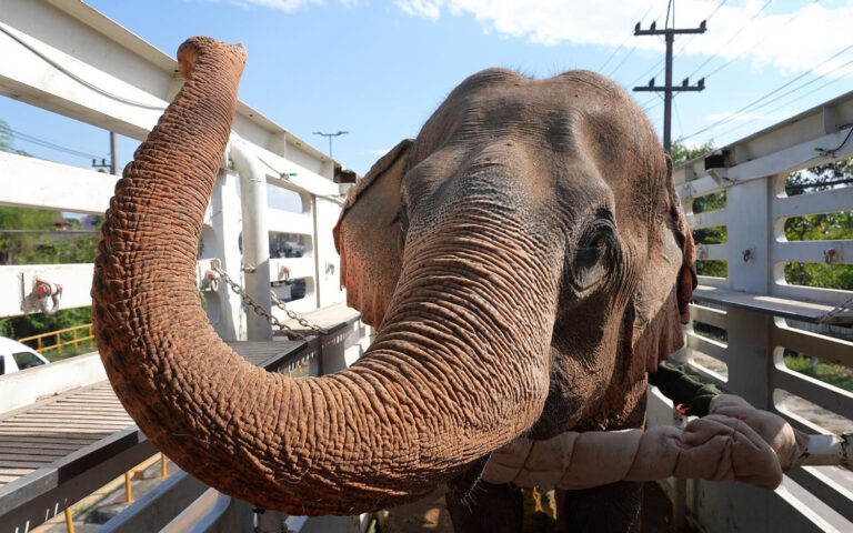 The Rescue of Kham Than