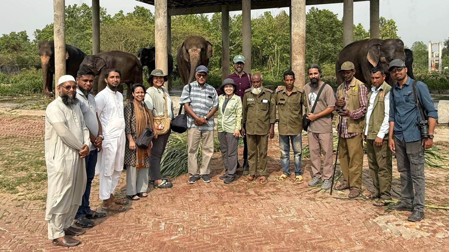 Brighter Future for Elephants in Bangladesh