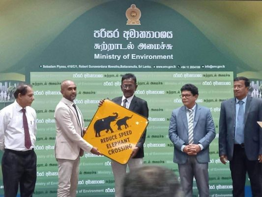 SriLanka_Elephants (7)