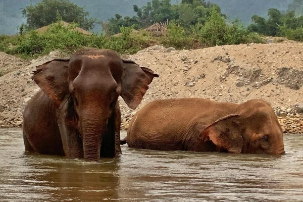 YaiBoon_AfterRescue7